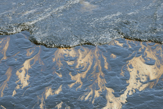 Illustration for article titled Santa Barbara Still Reeling From the Worst Oil Spill in Decades